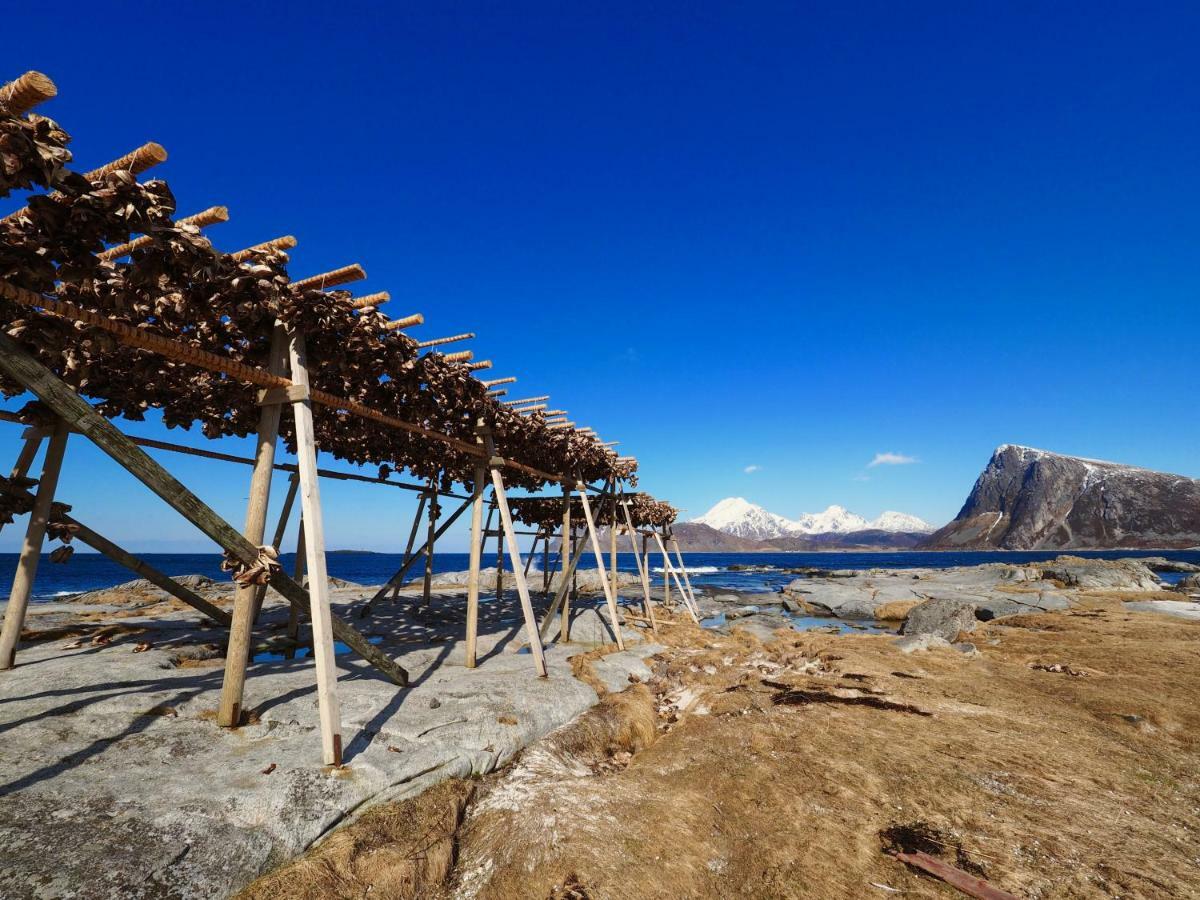 Midnight Sun View Lofoten Leknes Exterior photo